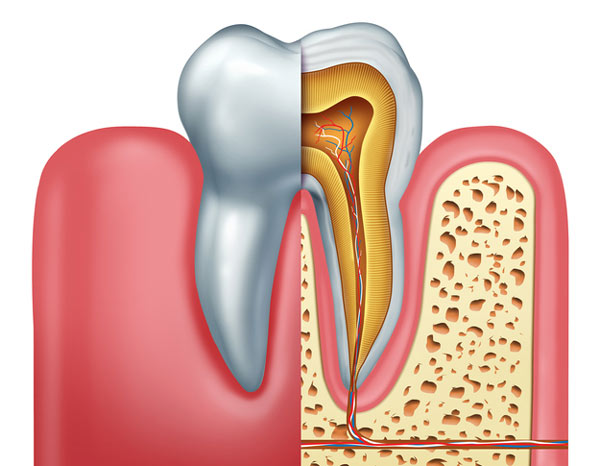 root cnal dentist